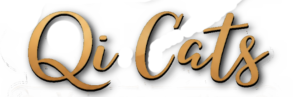 tekstlogo qicats
