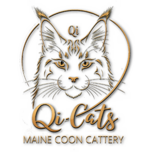 Home watermerk qicats