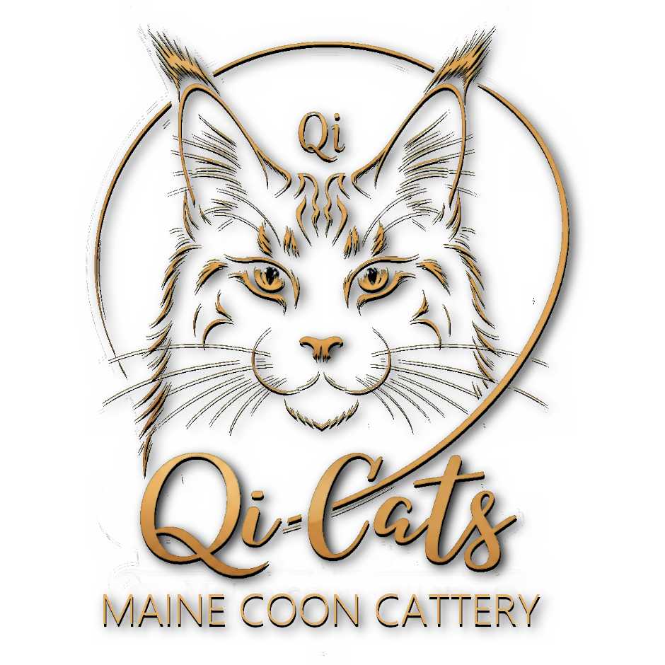 Home watermerk qicats